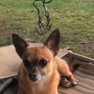 Meet your Posher, Kelli